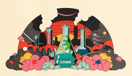 Mostly Used Chemical Feedstocks and Their Uses