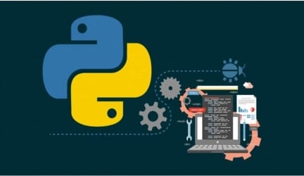 The Requirements for Python Developers and Their Salaries in 2022 