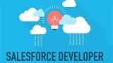 What are The Roles And Responsibilities Of The Salesforce Developer? 