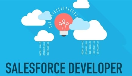 What are The Roles And Responsibilities Of The Salesforce Developer? 
