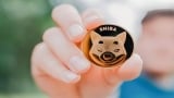 Should You Invest in Shiba Inu Coins or Not?