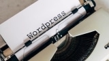 7 Offerings to Consider When Looking for Word-Press Development Services