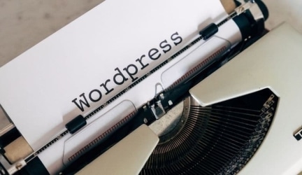 7 Offerings to Consider When Looking for Word-Press Development Services